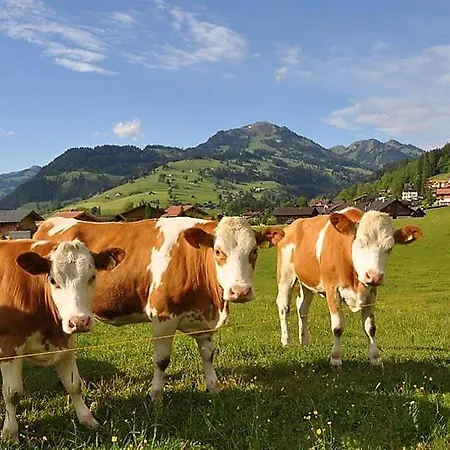 Sleeps 7 Wifi Zweisimmen